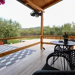 Olive Oasis