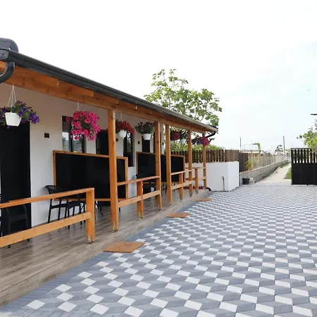 Olive Oasis Apartment *