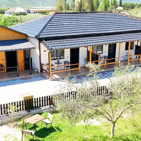 Olive Oasis Apartment