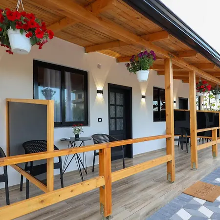 Olive Oasis Berat