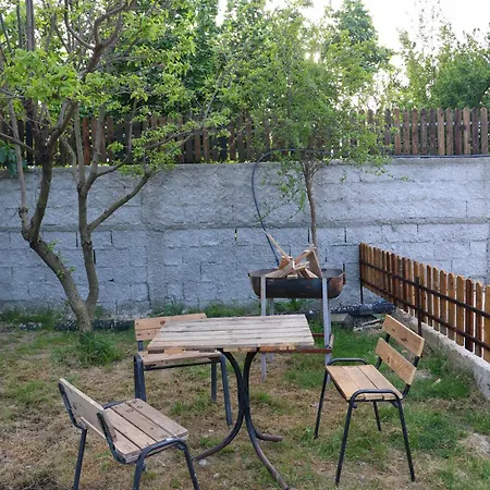 Olive Oasis Berat