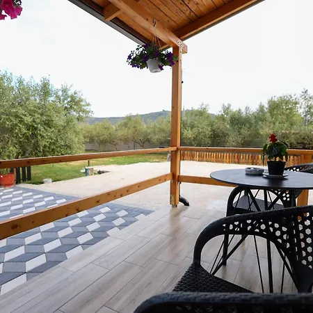 Olive Oasis