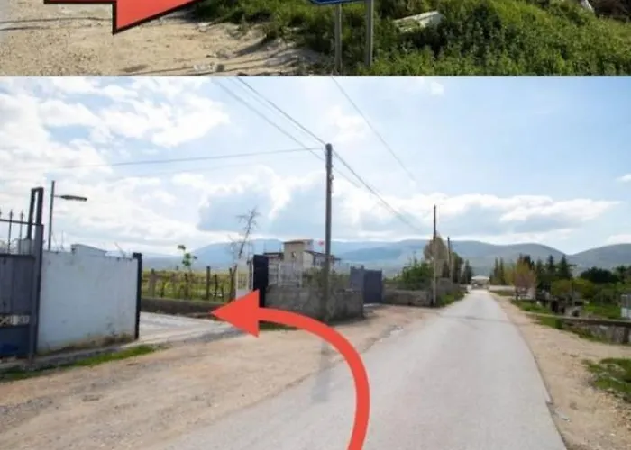 Appartement Olive Oasis *